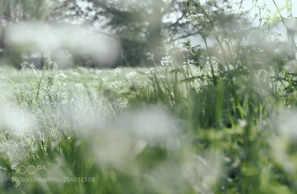 Canon EOS 7D sample photo. That's nature photography