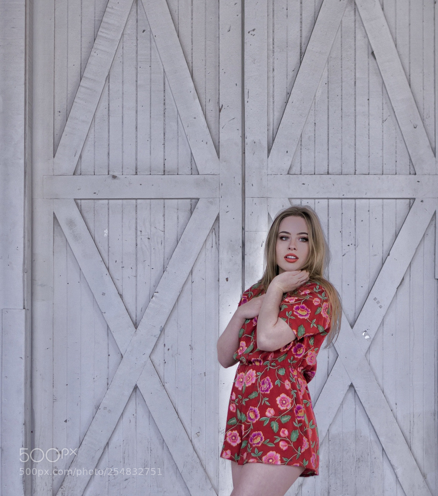 Sony a6000 sample photo. Red photography