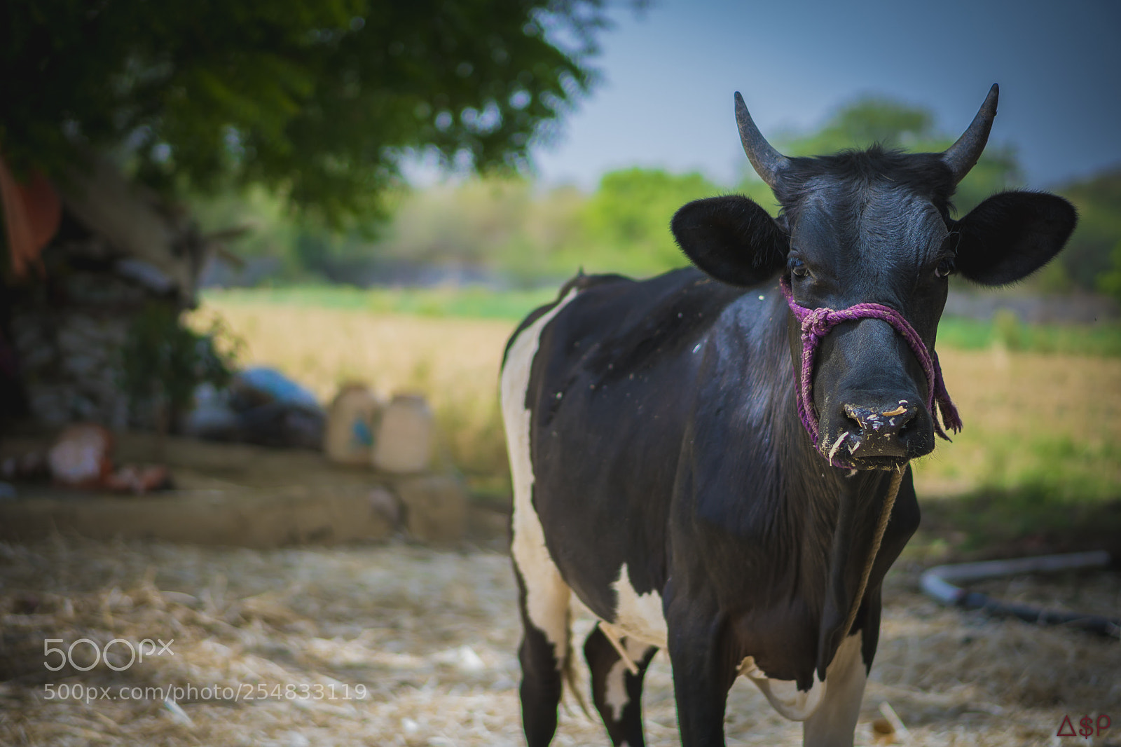 Sony a6300 sample photo. Village photography