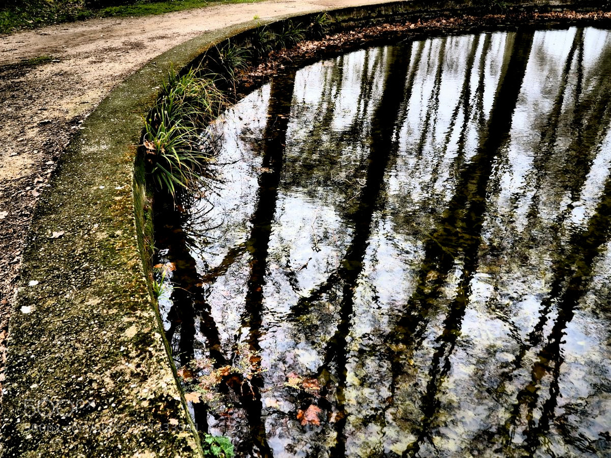 Olympus OM-D E-M5 II sample photo. Le reflet des platanes photography