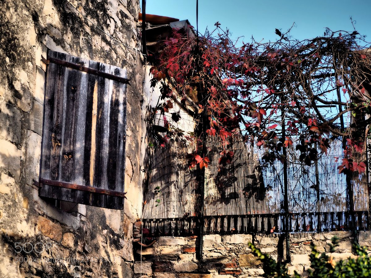 Olympus OM-D E-M5 II sample photo. La treille et le photography