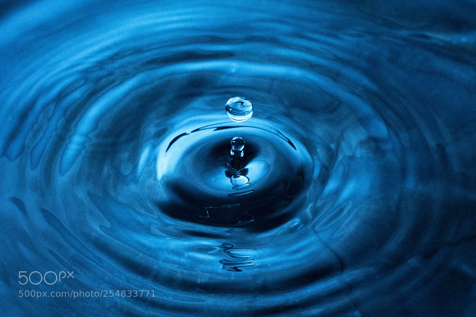 Nikon D810 sample photo. 水滴 photography