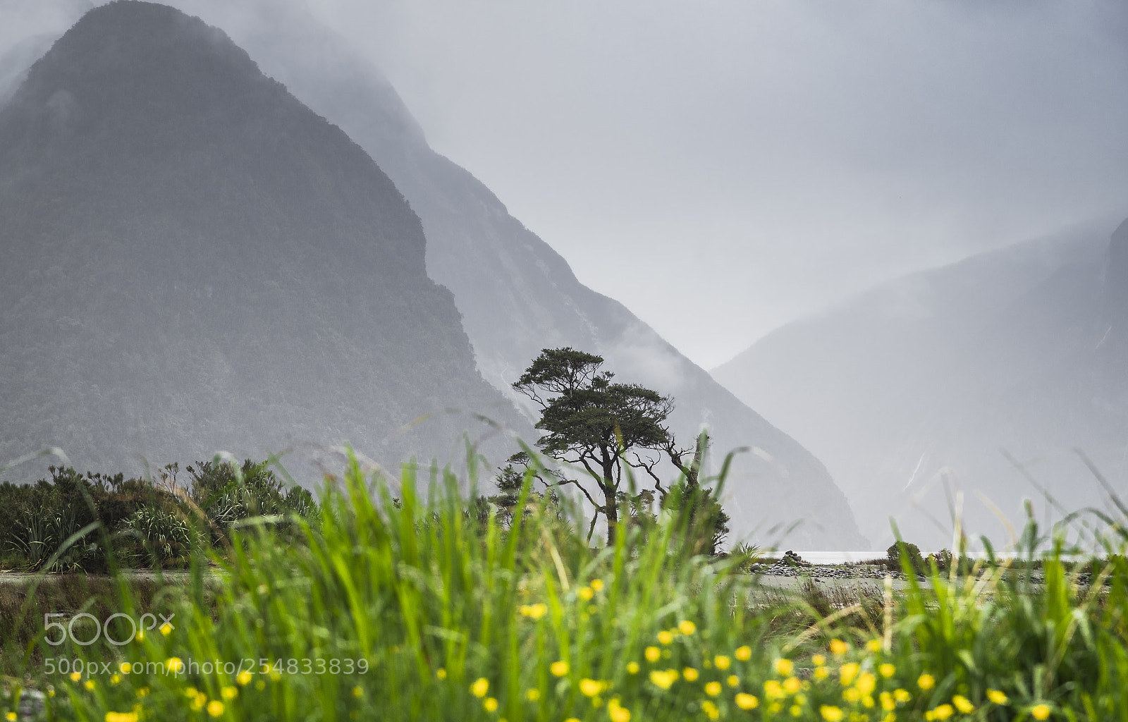 Canon EOS-1D X Mark II sample photo. The spring comes to photography