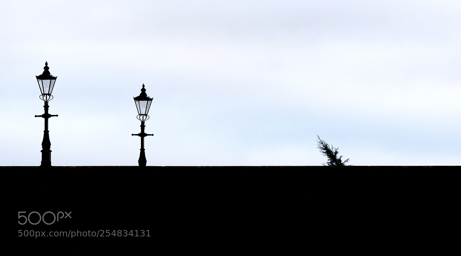 Nikon D810 sample photo. The bridge photography