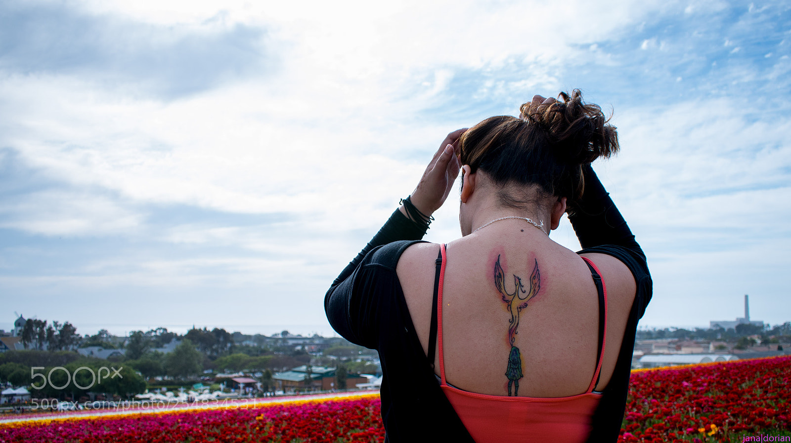 Nikon D5300 sample photo. Rising phoenix photography