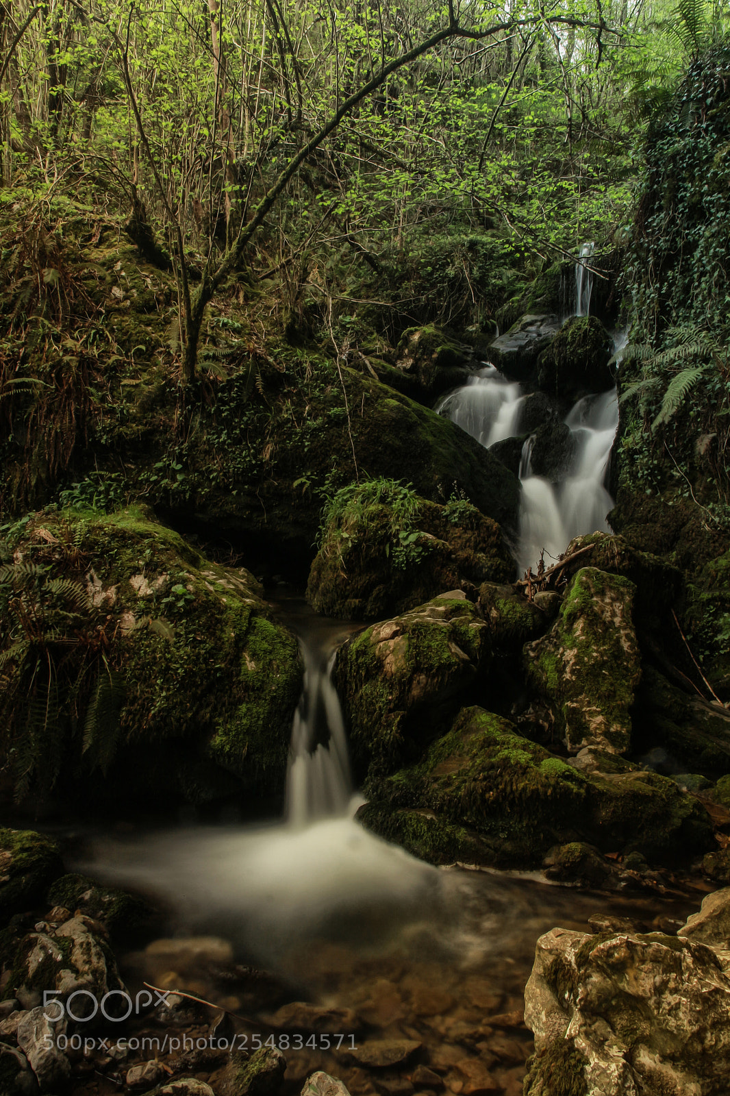 Canon EOS 700D (EOS Rebel T5i / EOS Kiss X7i) sample photo. Saltos de aguas photography
