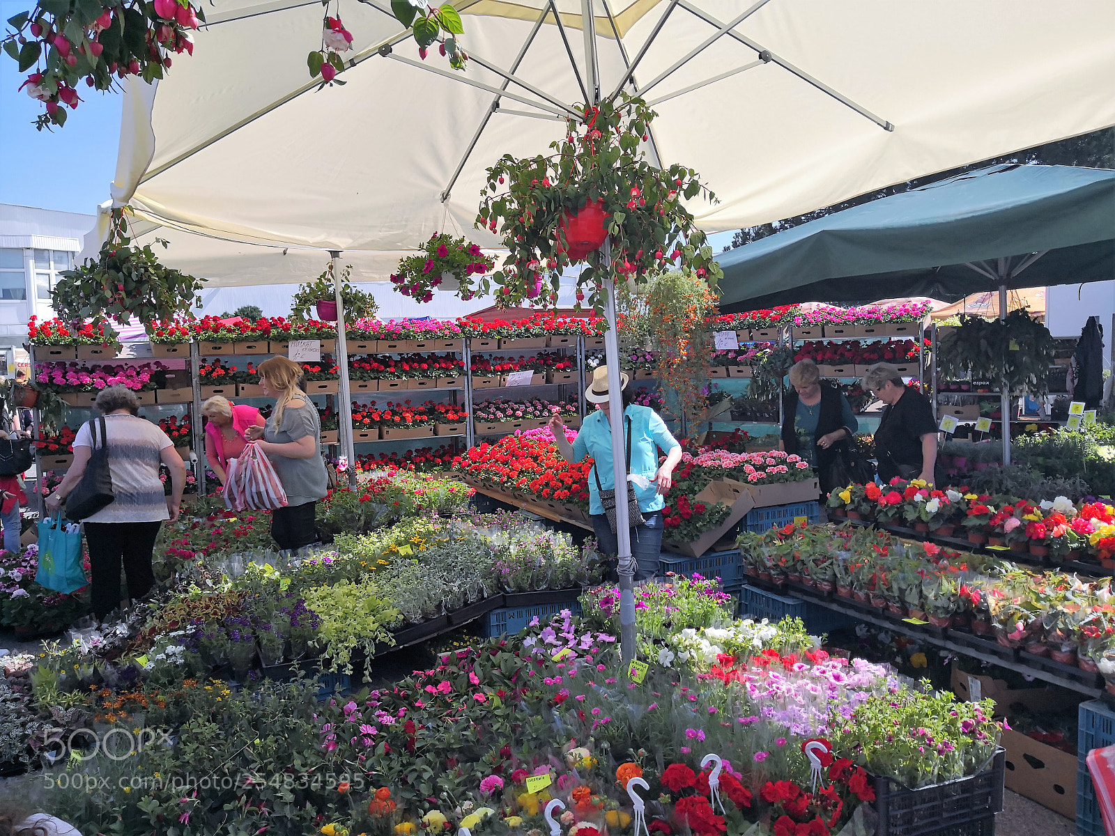 HUAWEI Mate 10 Pro sample photo. Flower market photography