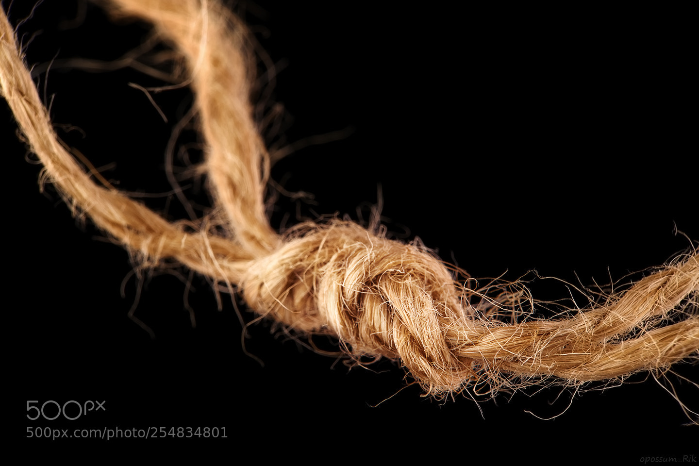 Panasonic Lumix DMC-FZ1000 sample photo. Knot photography