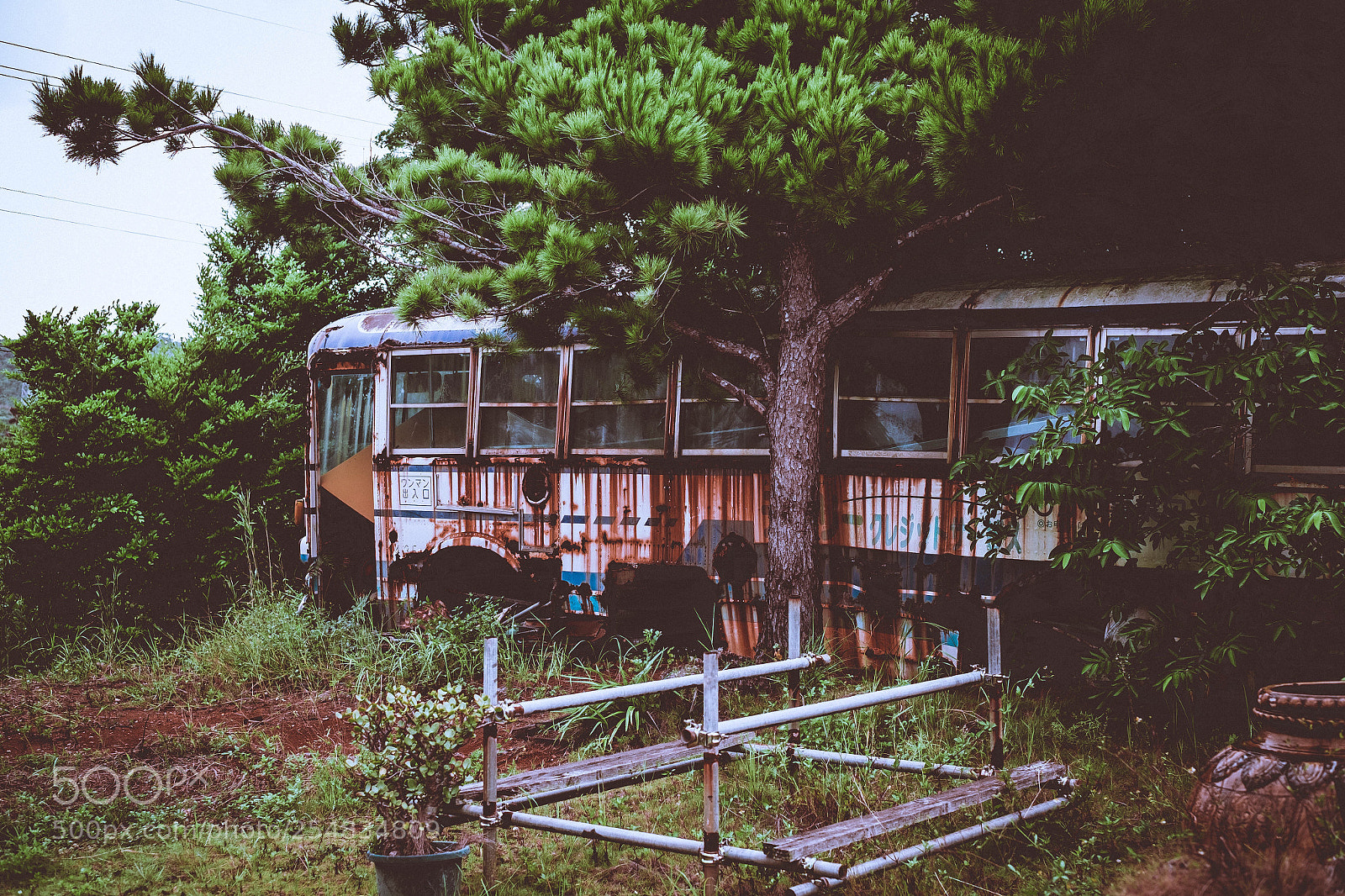 Fujifilm X-T1 sample photo. Untitled photography