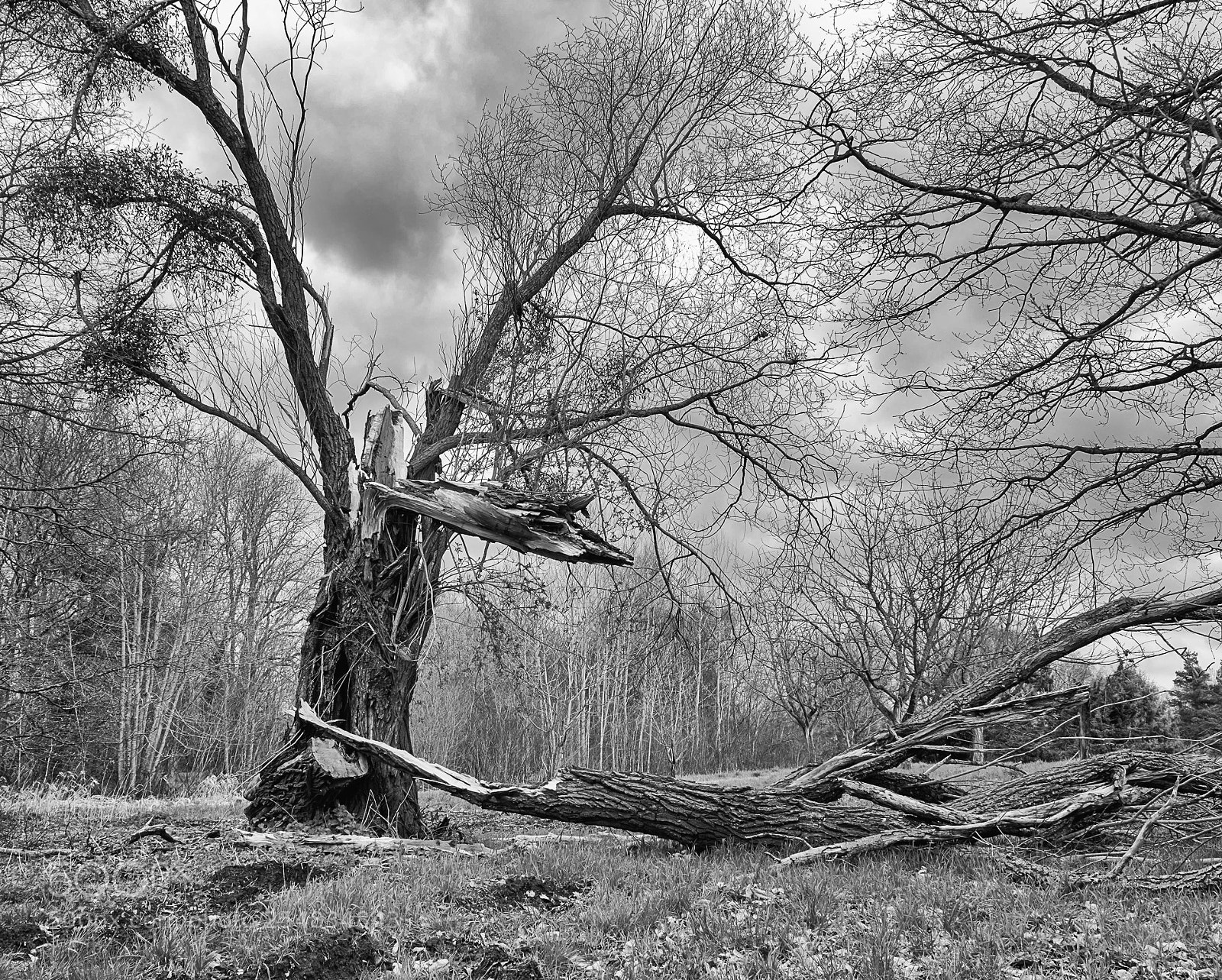 Fujifilm X-T20 sample photo. After the storm photography