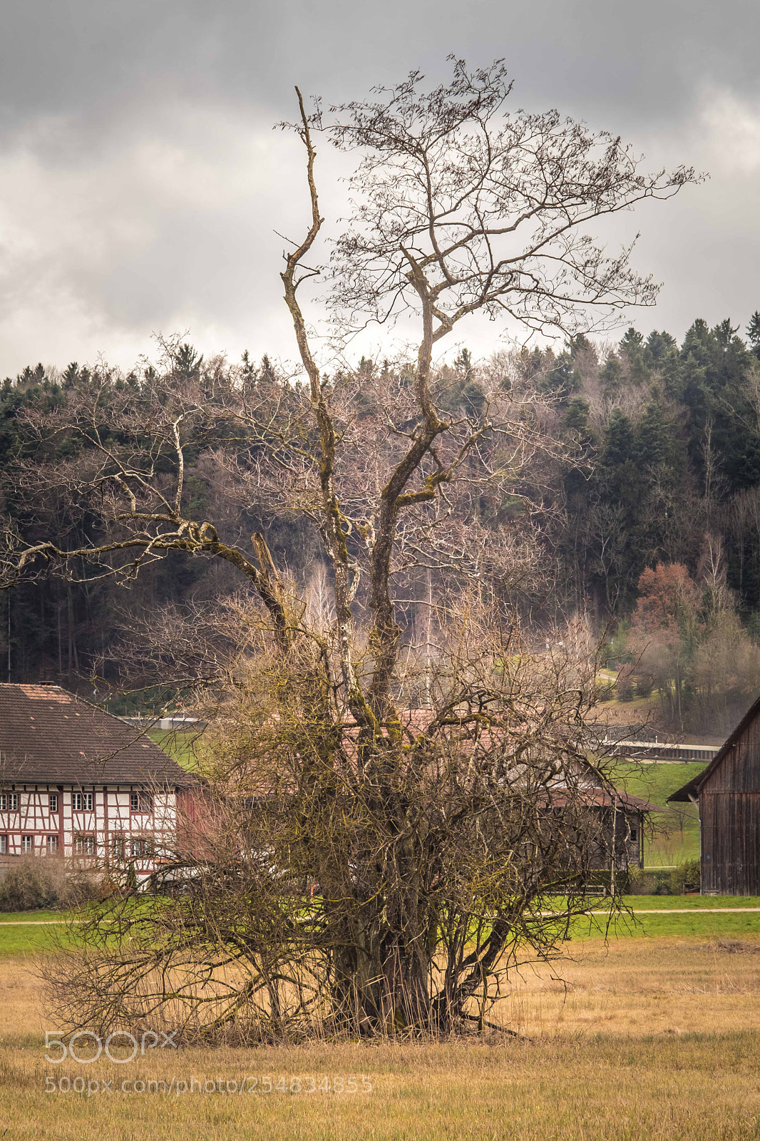 Fujifilm X-T2 sample photo. Zurich, country side photography