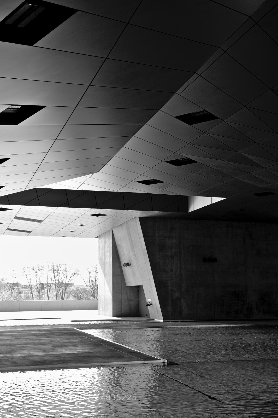 Fujifilm X-T20 sample photo. Musée des confluences photography