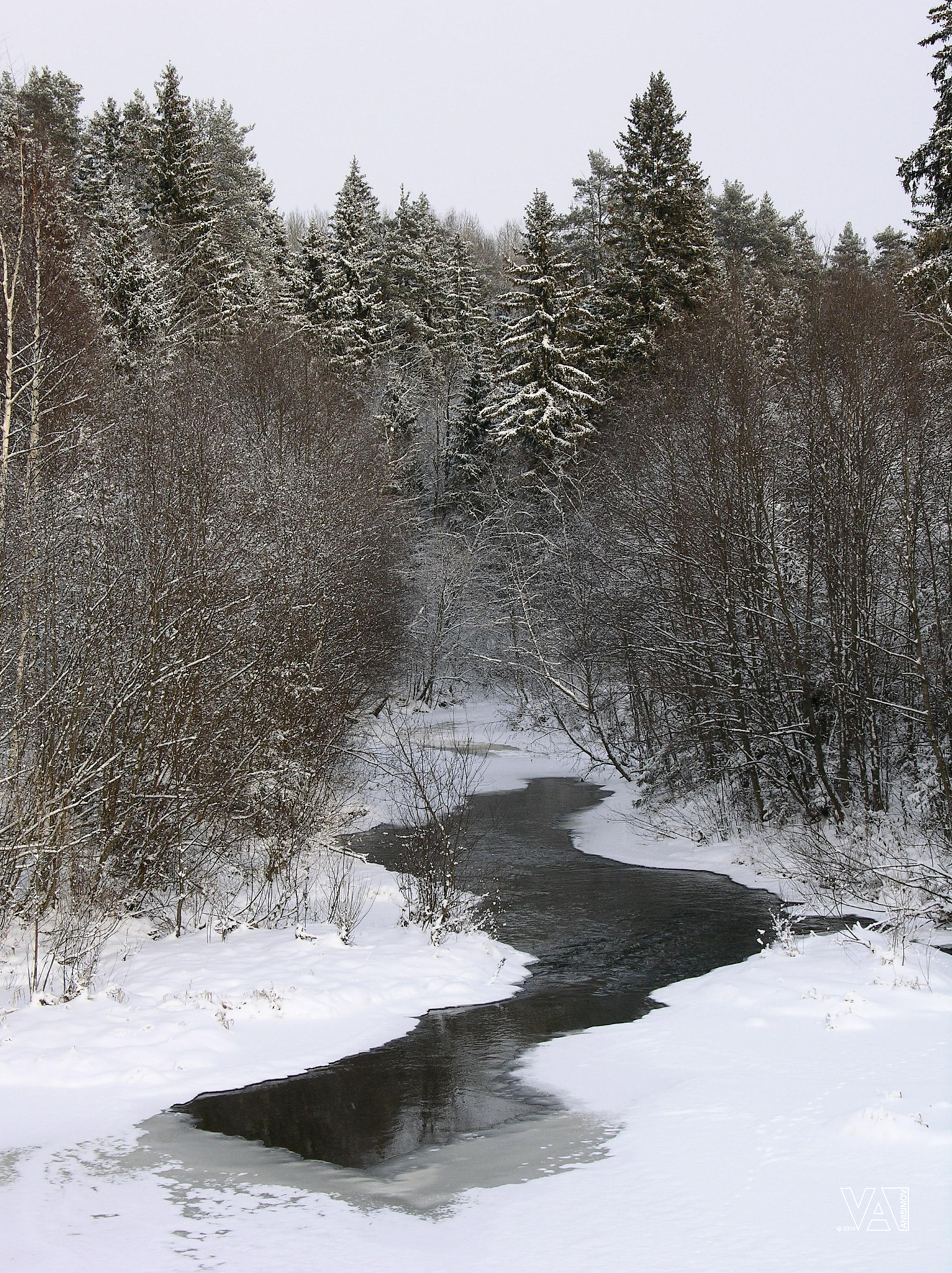 Nikon E8700 sample photo. A scribble of winter photography