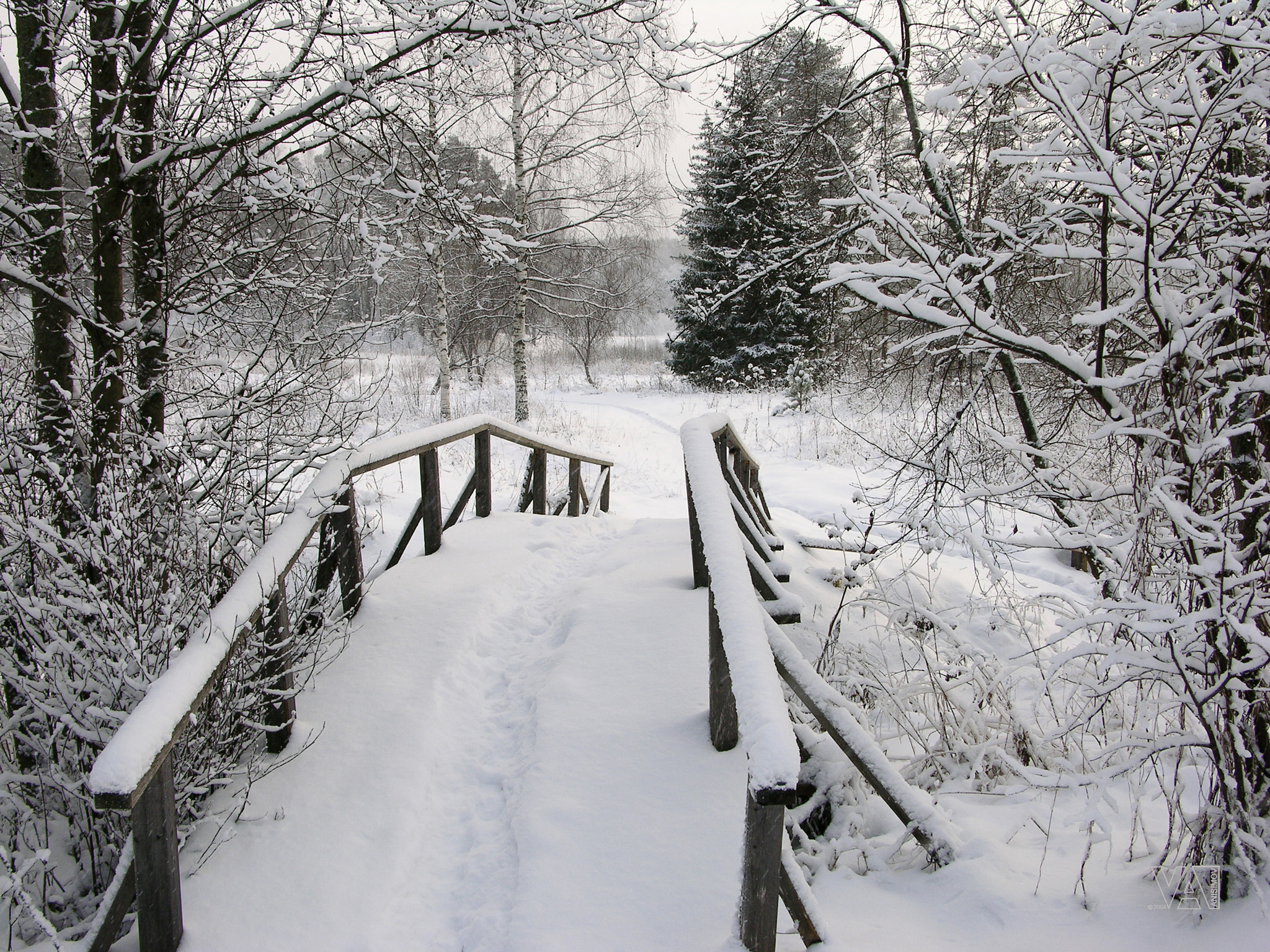 Nikon E8700 sample photo. Bridge in the winter photography