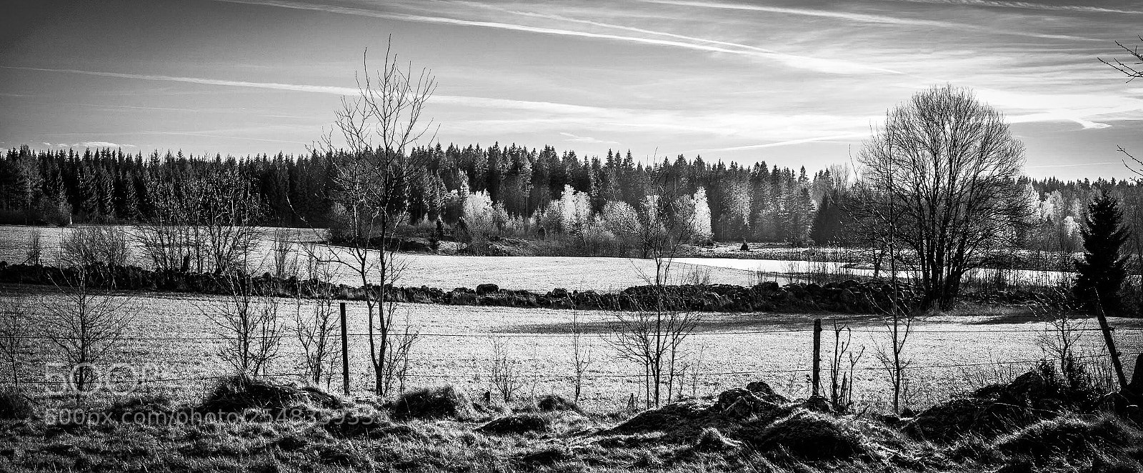 Sony a7R sample photo. Out in the country  photography