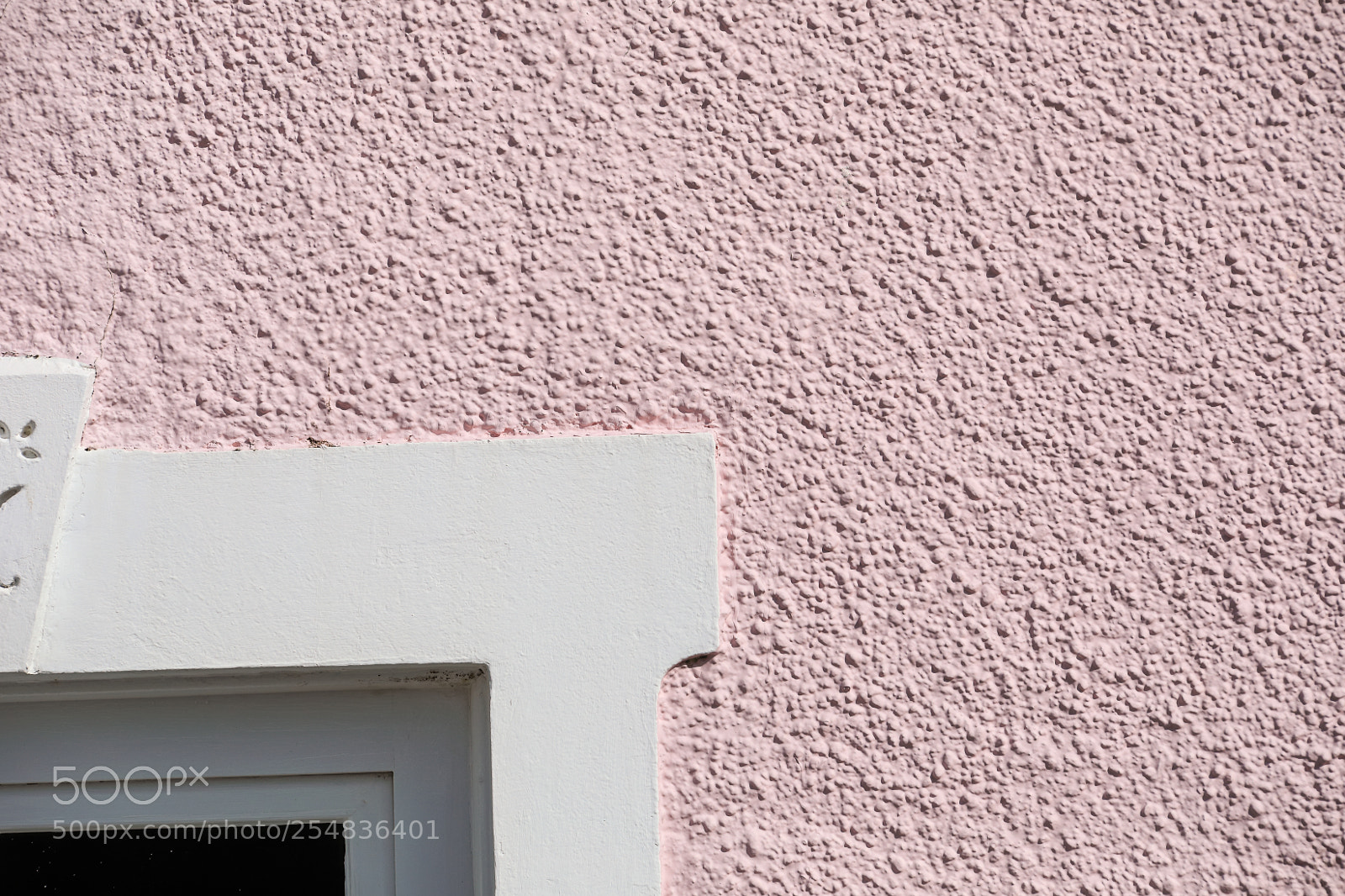 Canon EOS 5D Mark IV sample photo. Untitled photography
