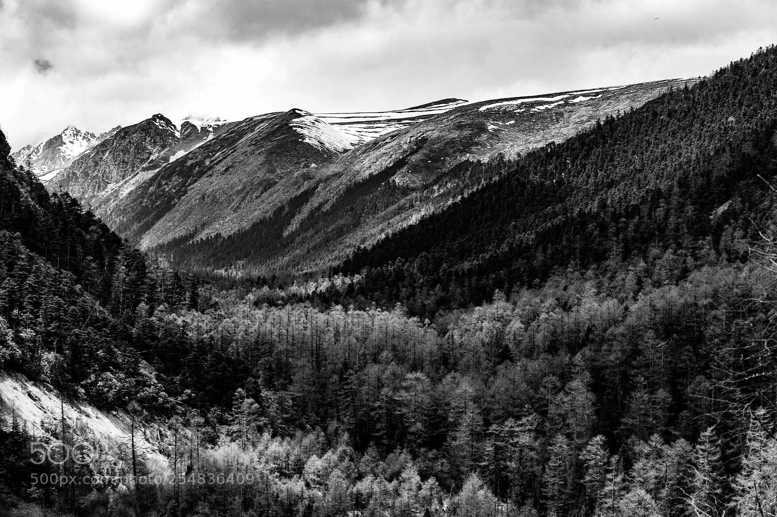 Sony a7 II sample photo. The mountains and forest photography