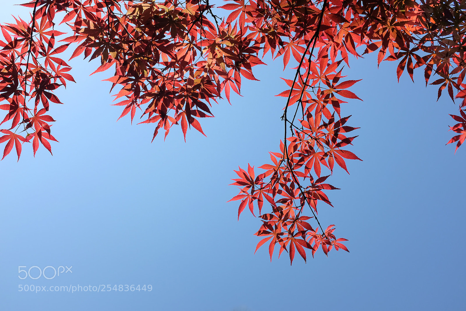 Fujifilm X100T sample photo. 2 photography