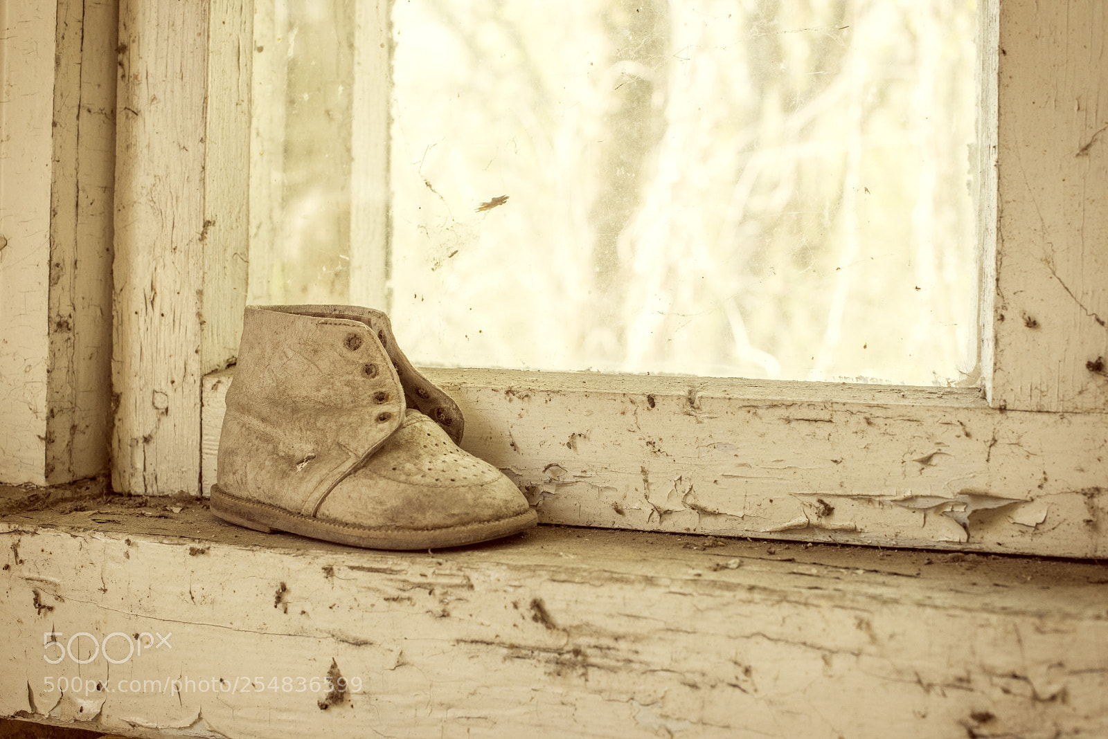 Nikon D810 sample photo. Old child shoe on photography