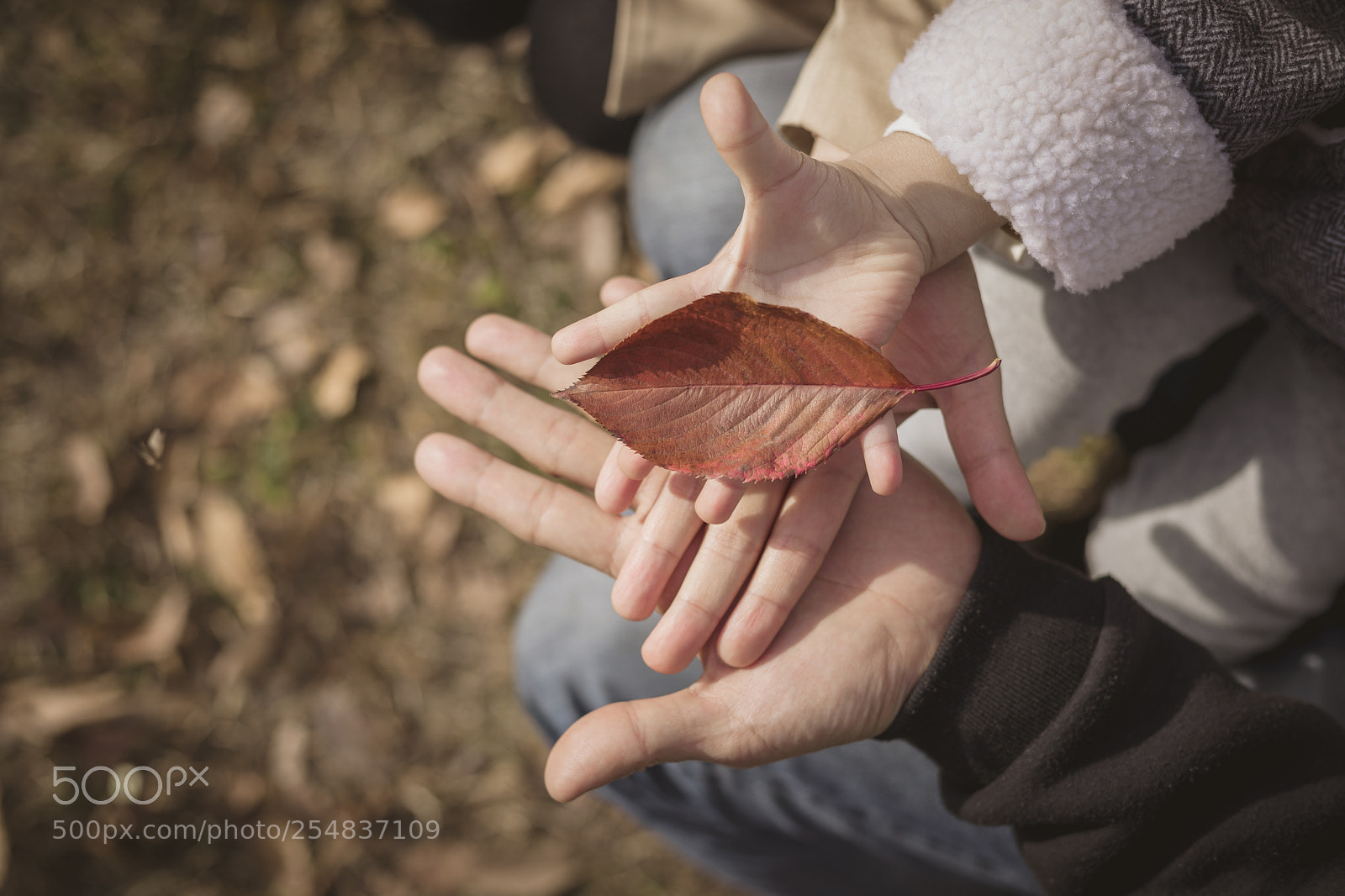 Canon EOS 5D Mark IV sample photo. Th's fam photography