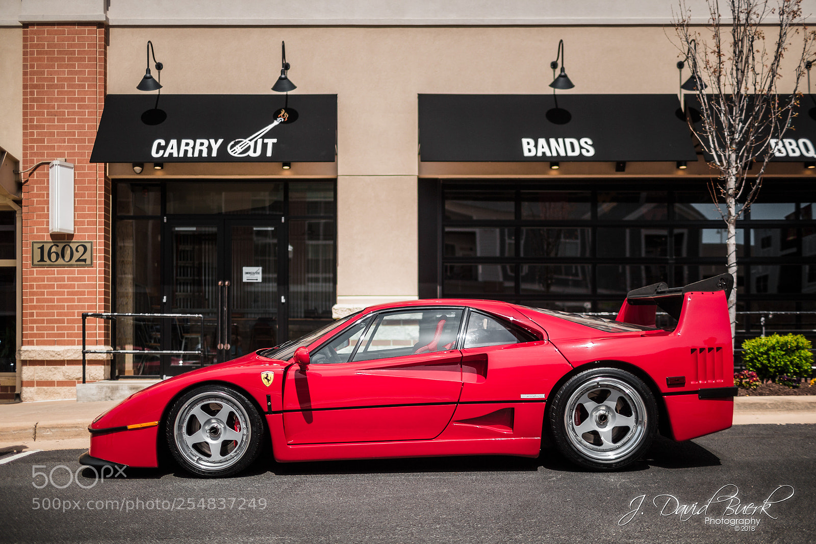 Canon EOS-1D X sample photo. Scared to be lonely photography