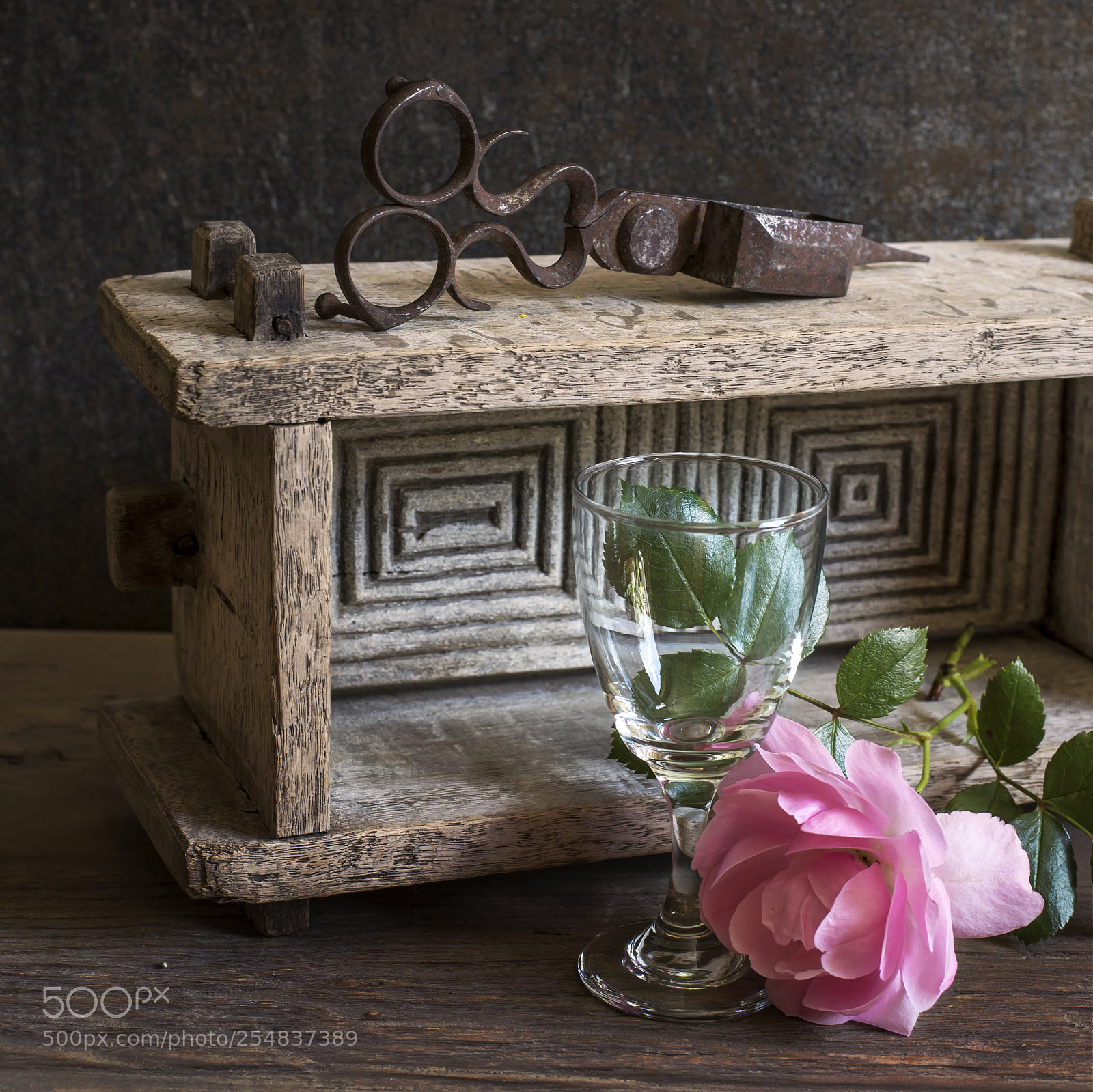 Nikon D600 sample photo. Old things and a photography