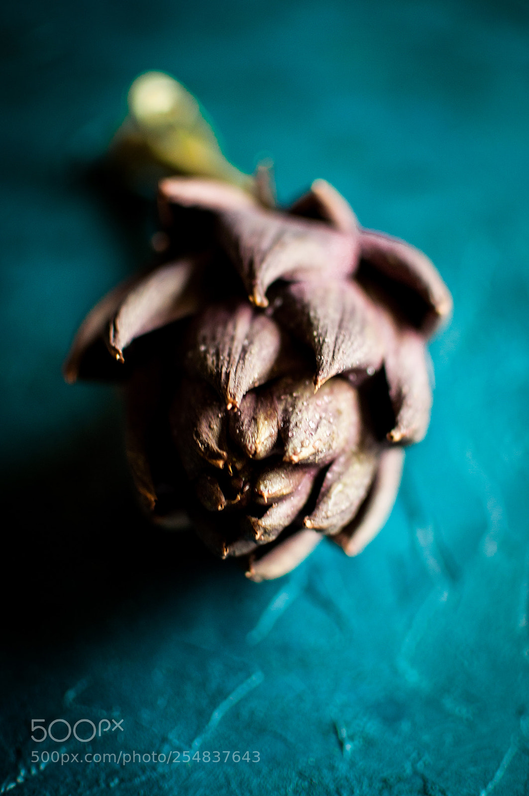 Nikon D5000 sample photo. Fresh artichoke on the photography