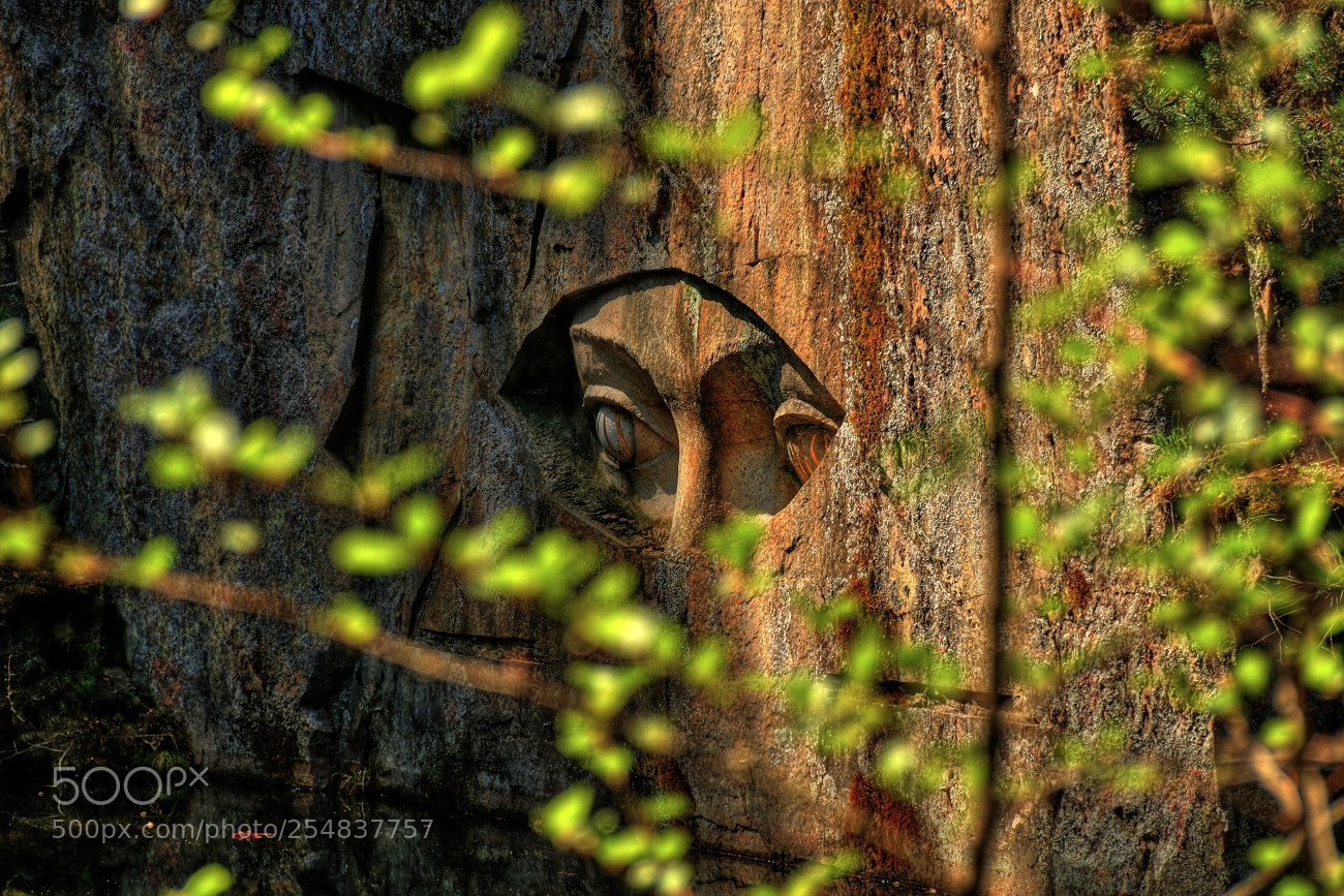 Canon EF-S 18-135mm F3.5-5.6 IS sample photo. Eyes photography