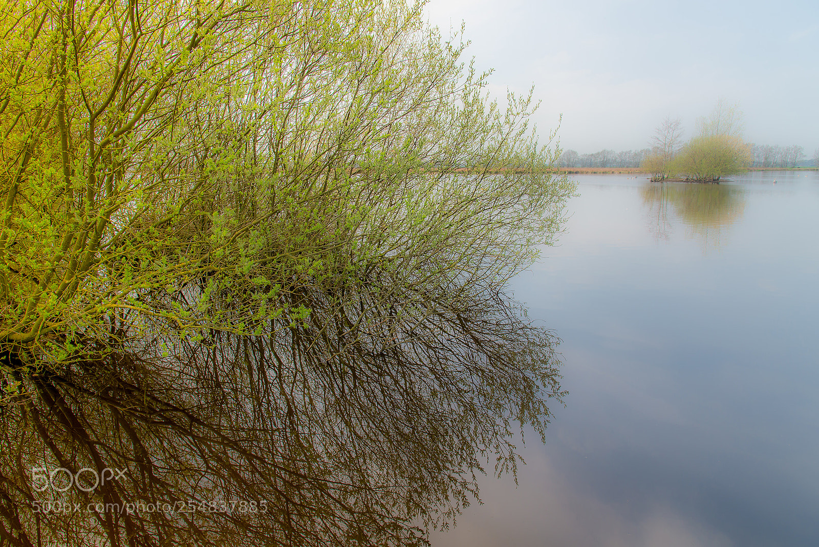 Nikon D610 sample photo. Silky morning photography