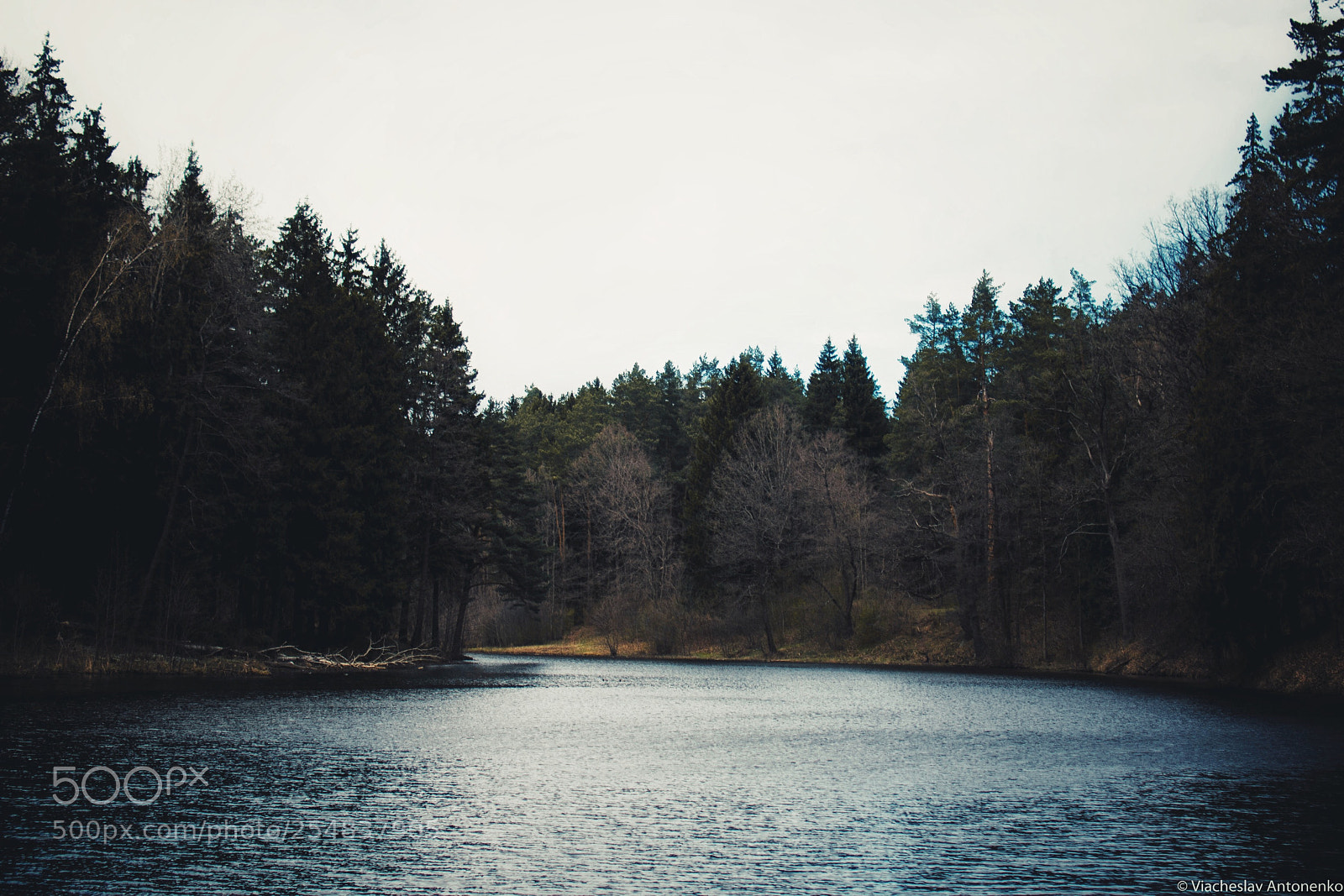 Nikon D5300 sample photo. Forest lake photography