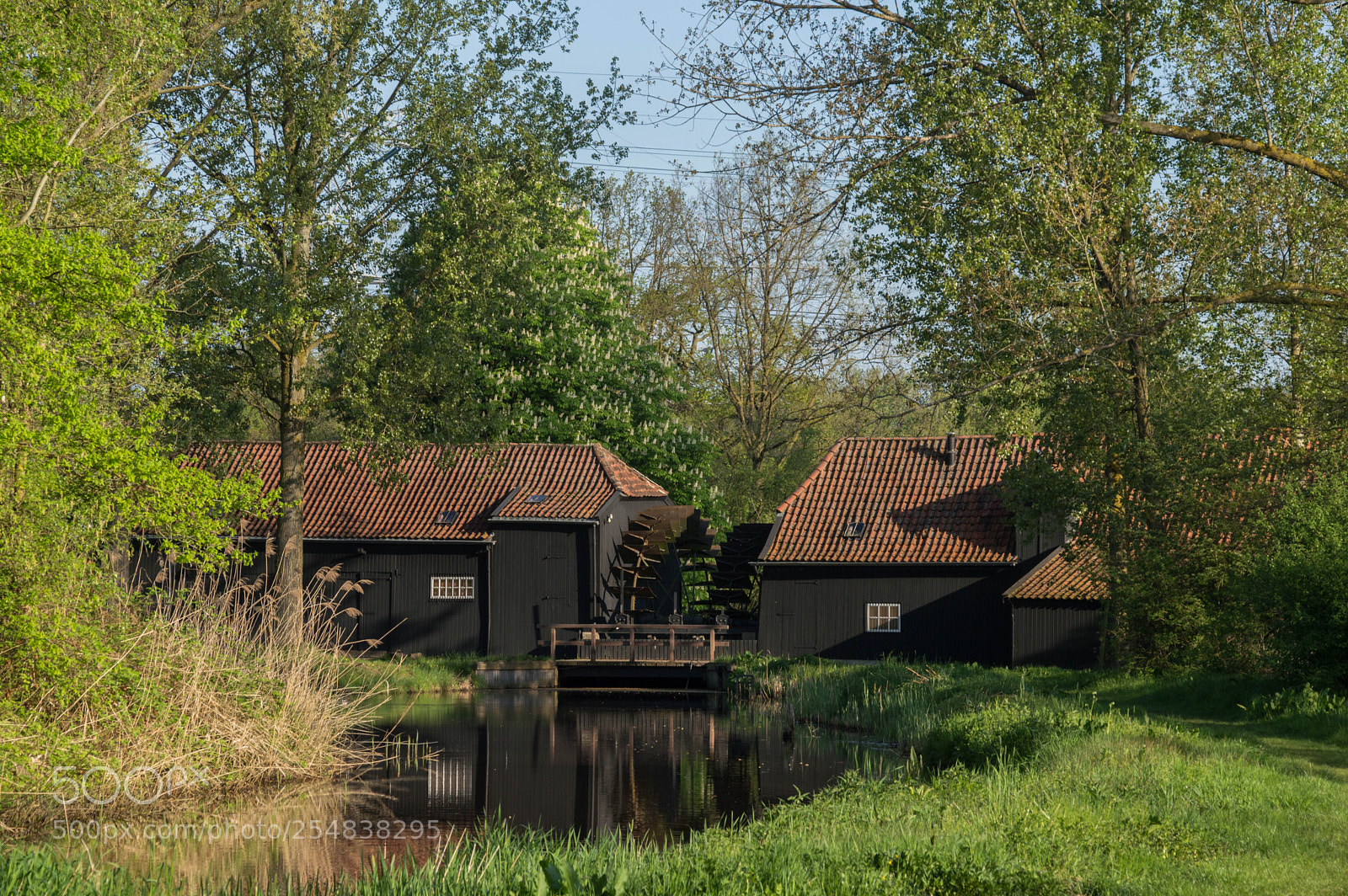 Nikon D3200 sample photo. Vincent van gogh photography