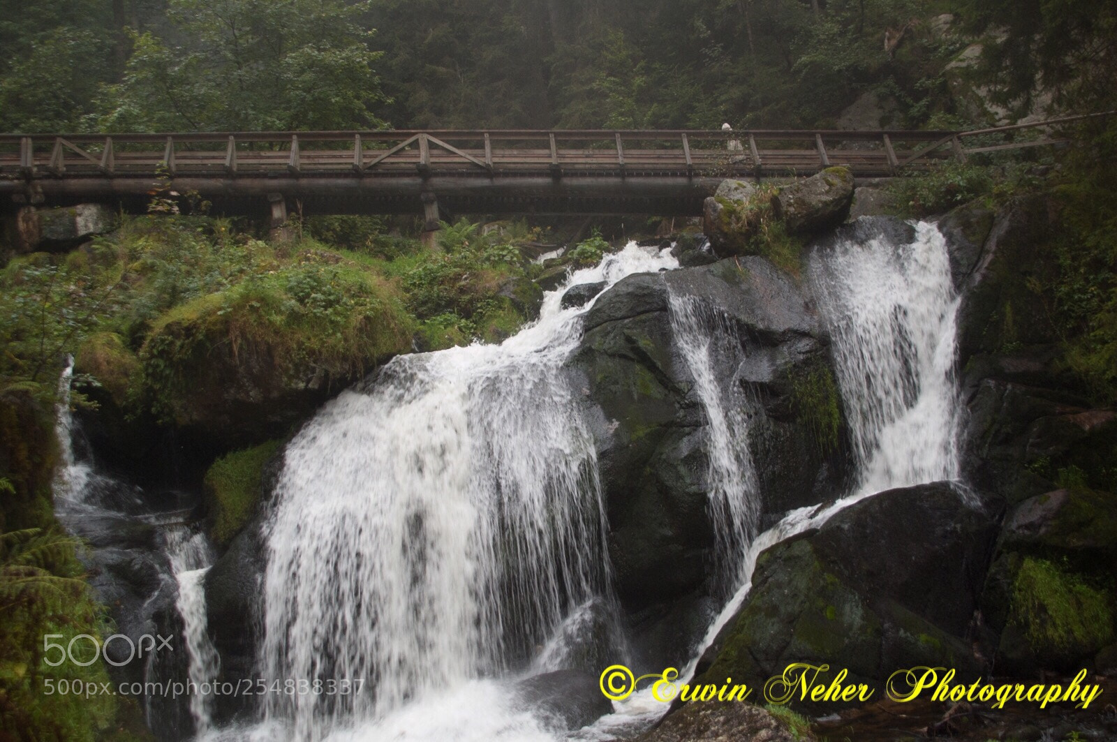 Nikon D50 sample photo. Untitled photography