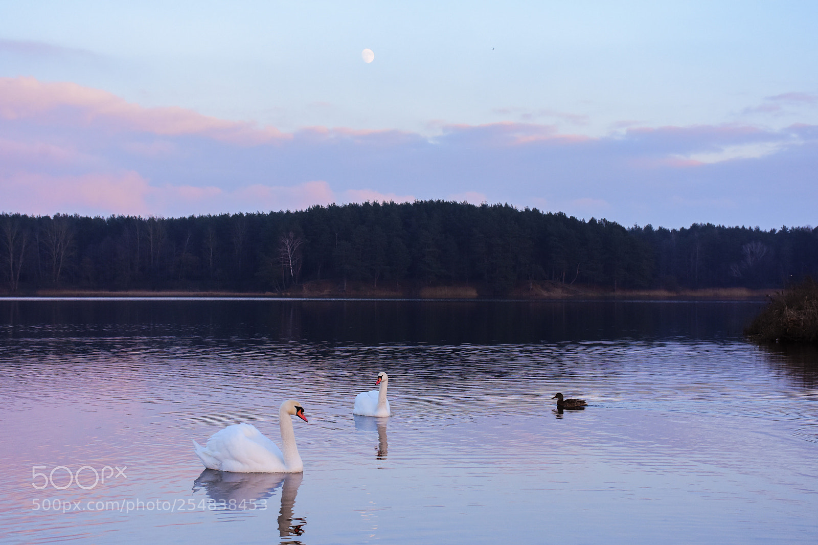 Nikon D7200 sample photo. --- photography