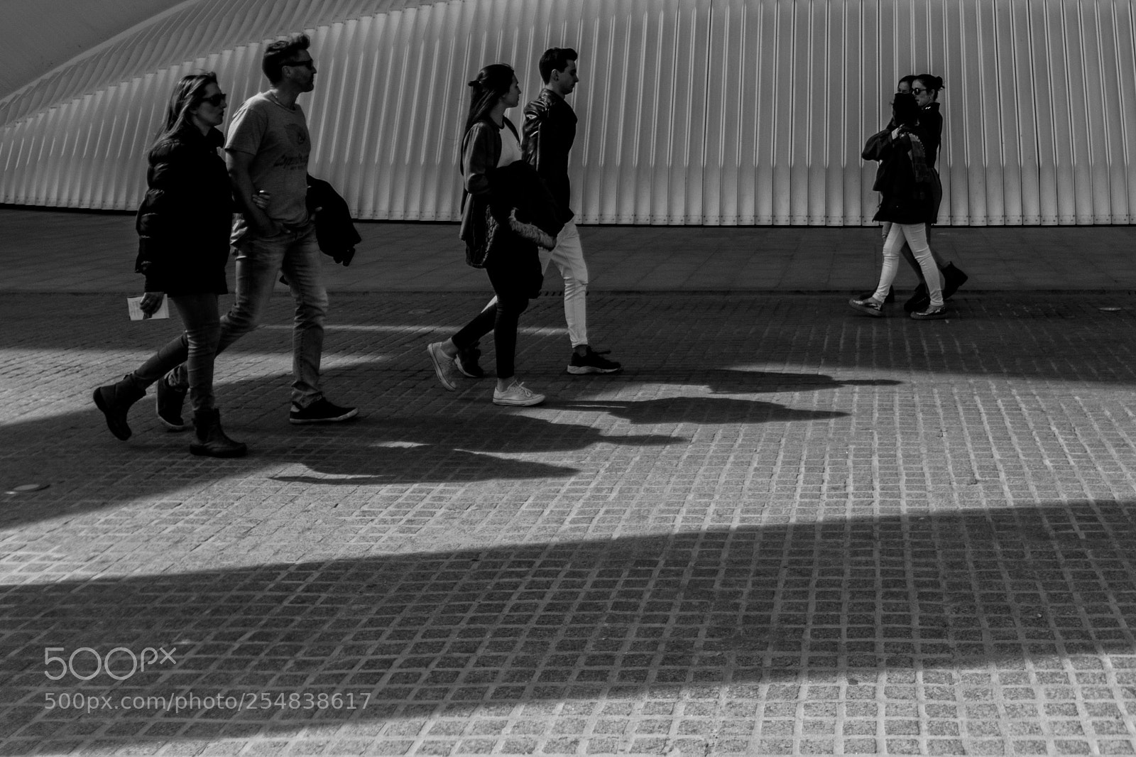 Nikon D5300 sample photo. Daltons style shadow photography