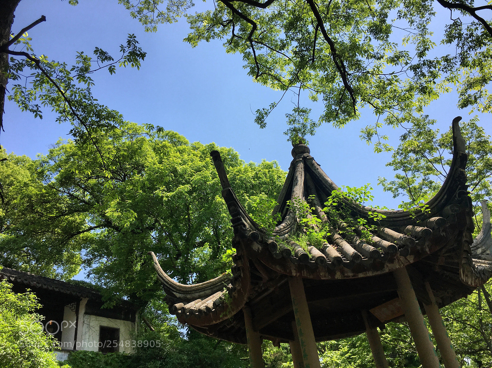 Apple iPhone 6s sample photo. Suzhou, china tiger hill photography