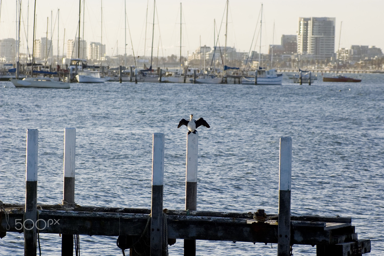 Pentax K100D sample photo. Pier st kilda photography