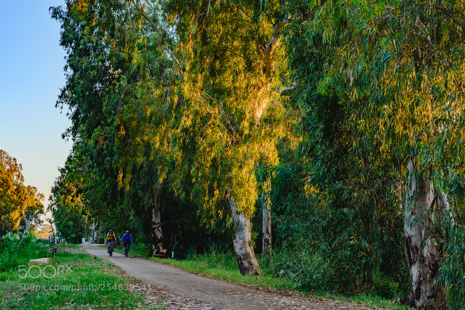 Nikon D7200 sample photo. Untitled photography