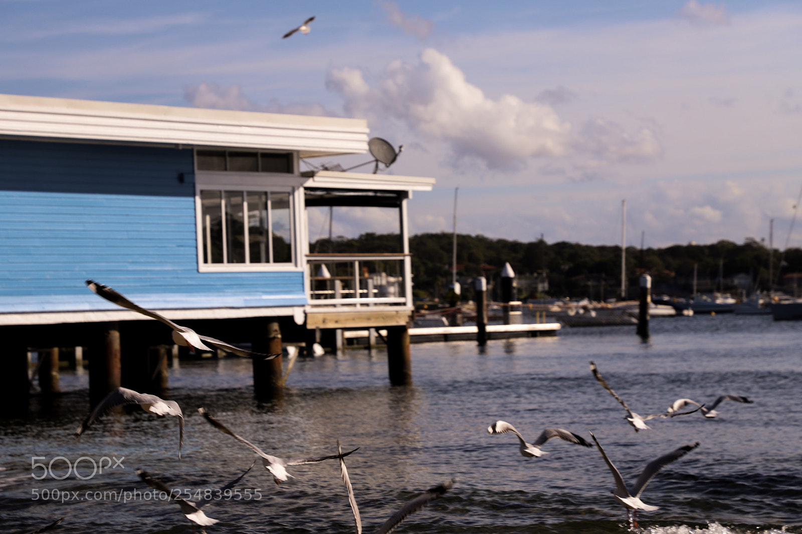 Canon EOS 6D Mark II sample photo. Untitled photography