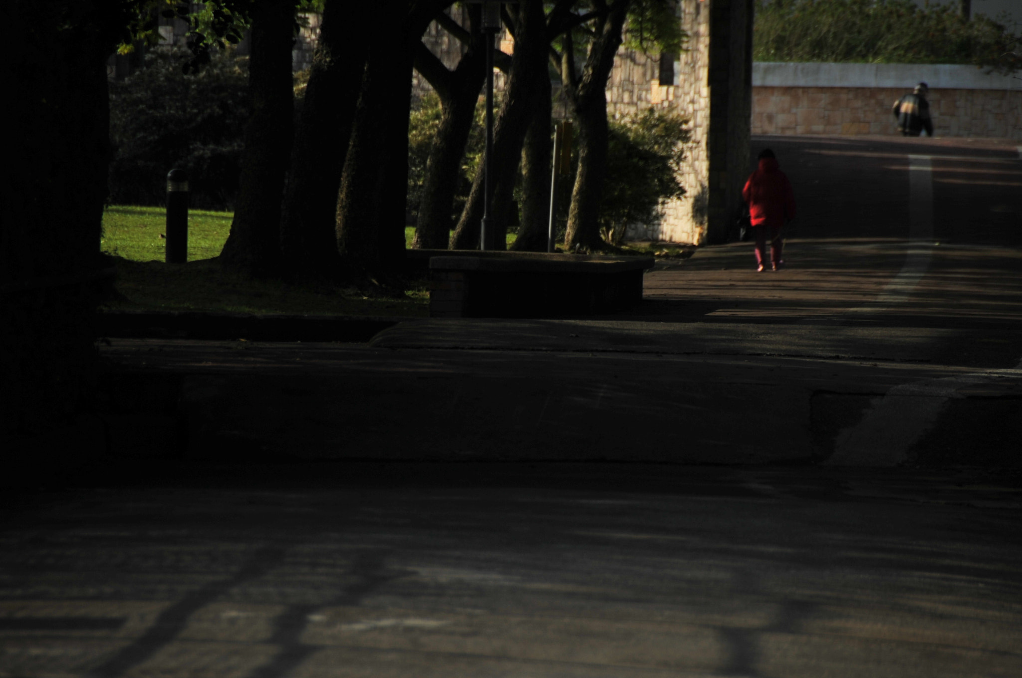 Nikon D3S sample photo. .. photography