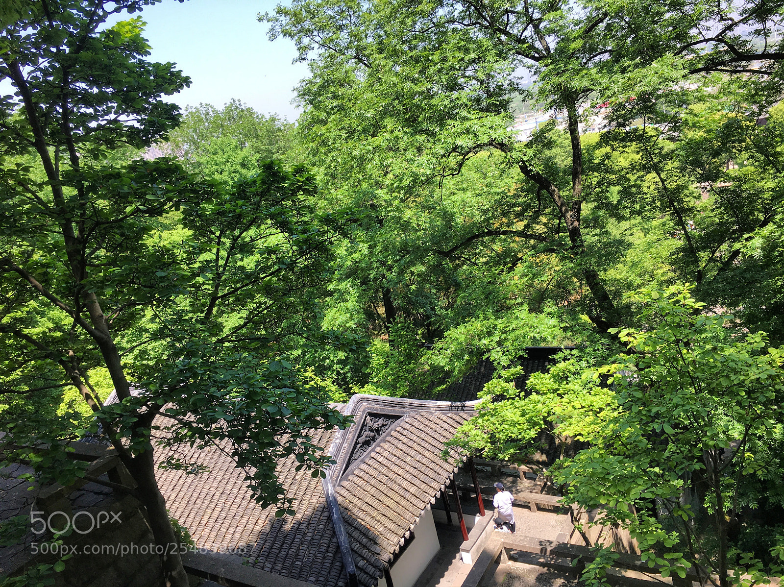 Apple iPhone 6s sample photo. Suzhou, china tiger hill photography