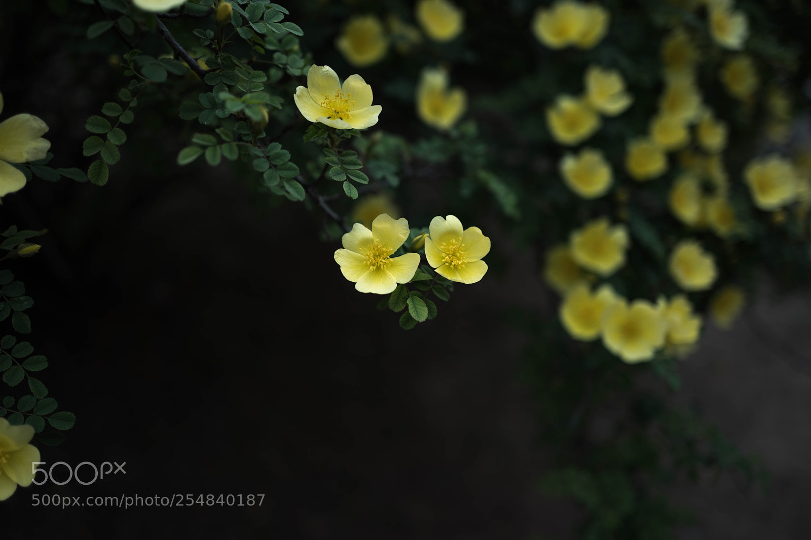 Leica Q (Typ 116) sample photo. L1070215-2.jpg photography