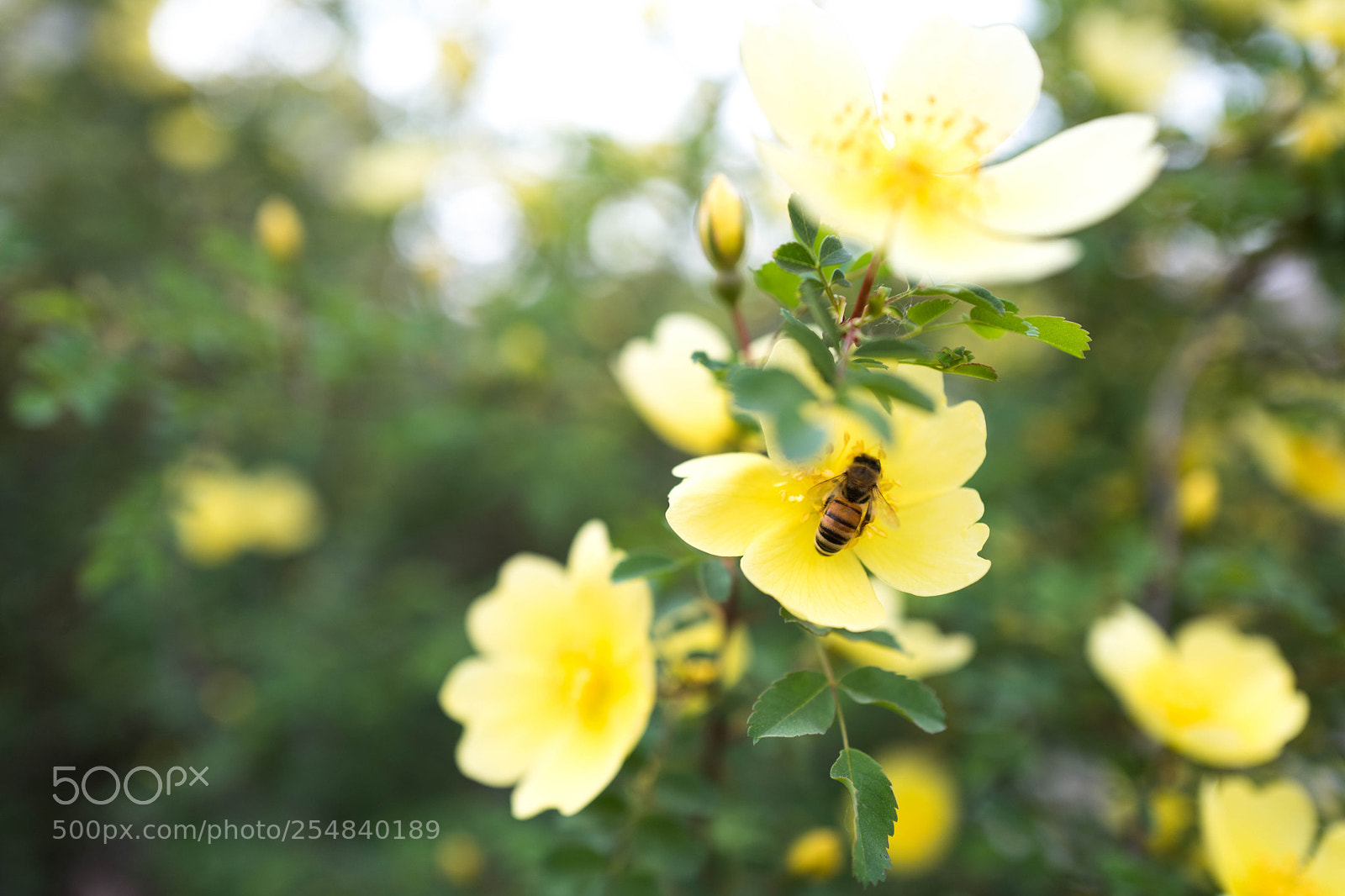 Leica Q (Typ 116) sample photo. L1070237-2.jpg photography