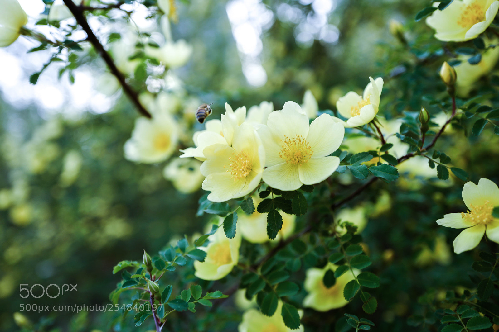 Leica Q (Typ 116) sample photo. L1070250-2.jpg photography