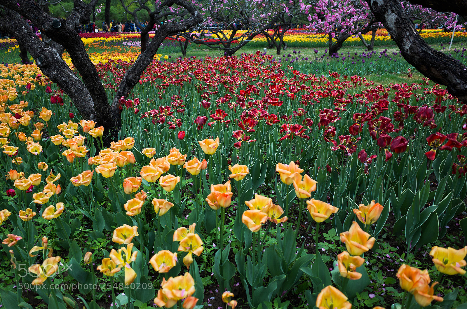 Ricoh GR sample photo. R photography