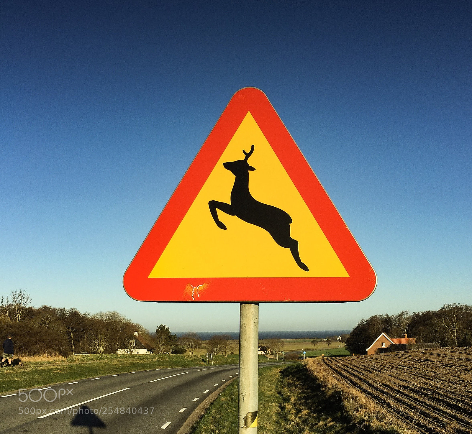 Apple iPhone 6 sample photo. Deer sign photography