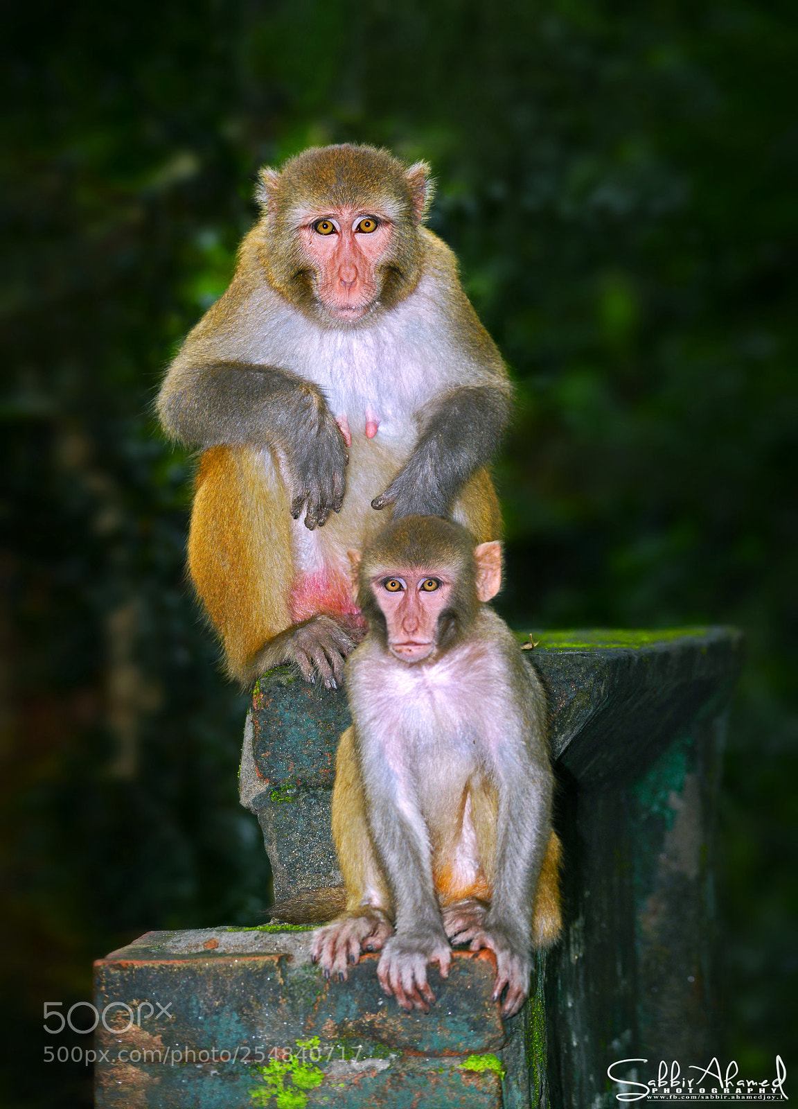 Nikon D7100 sample photo. Untitled photography