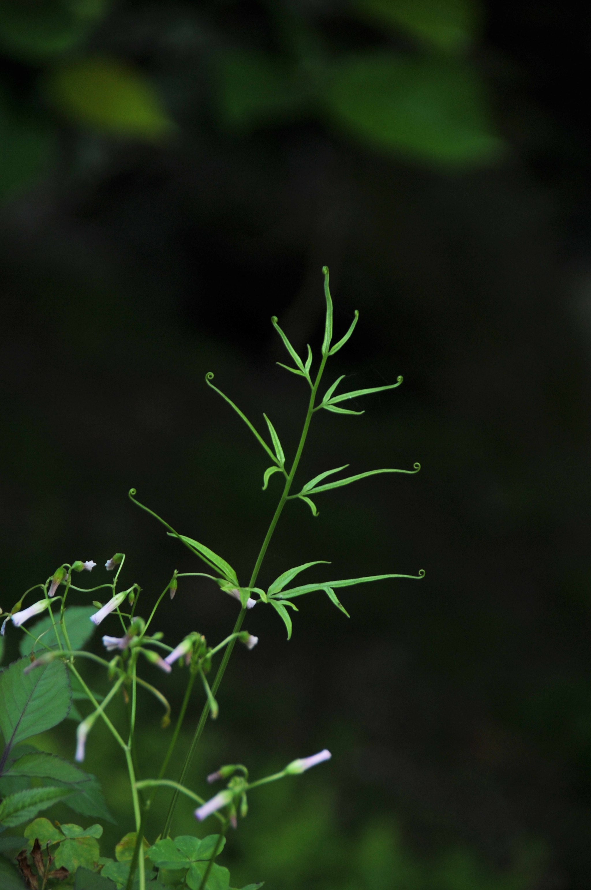 Nikon D3S sample photo. .. photography