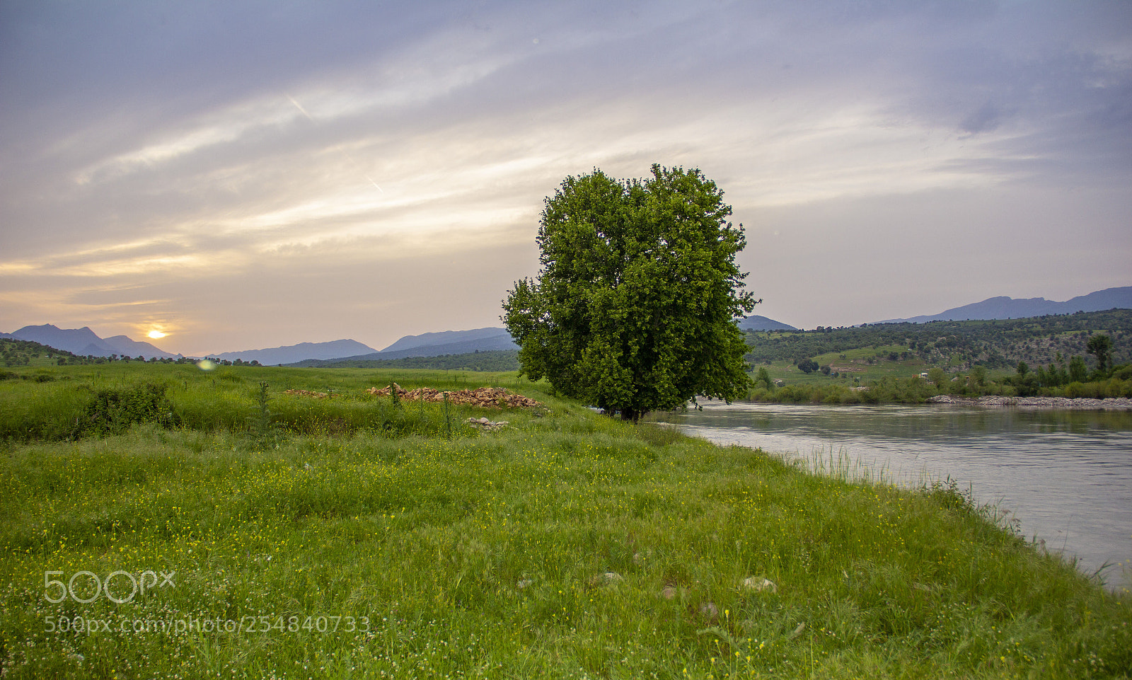 Canon EOS 60D sample photo. Rezan photography