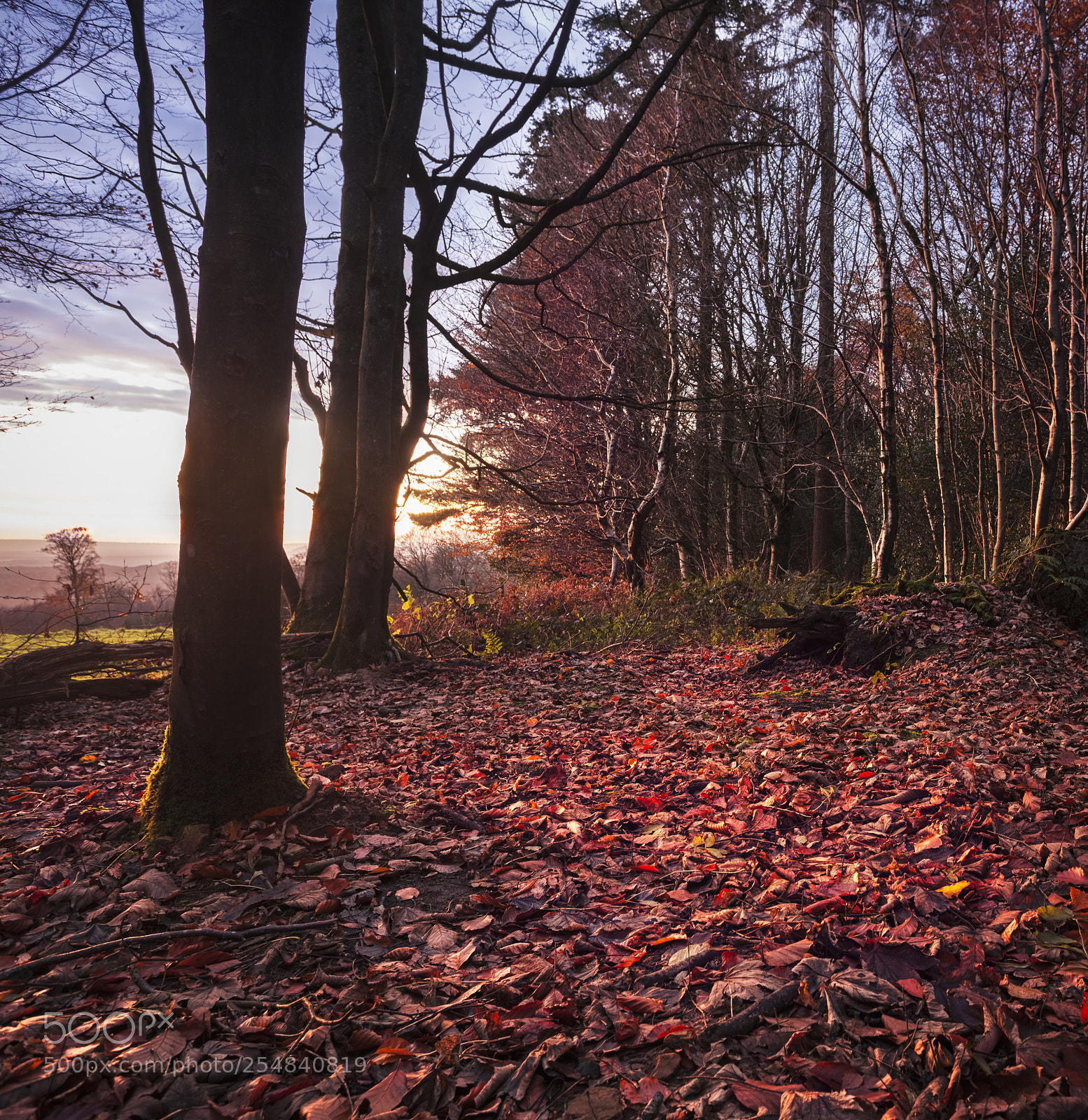 Canon EOS 5D Mark II sample photo. Leith hill iv photography