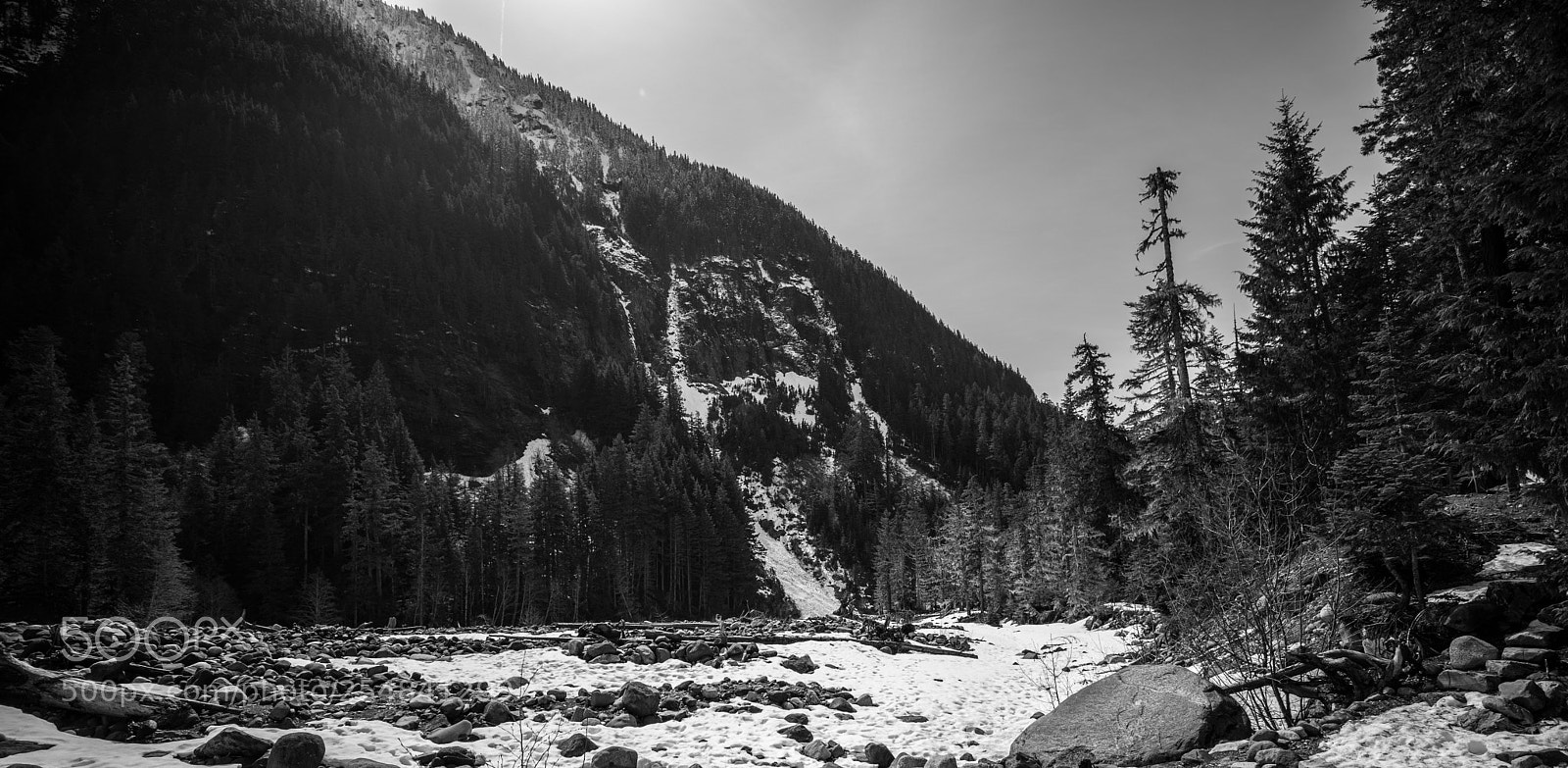Canon EOS 5D Mark IV sample photo. Mt rainier natl park photography